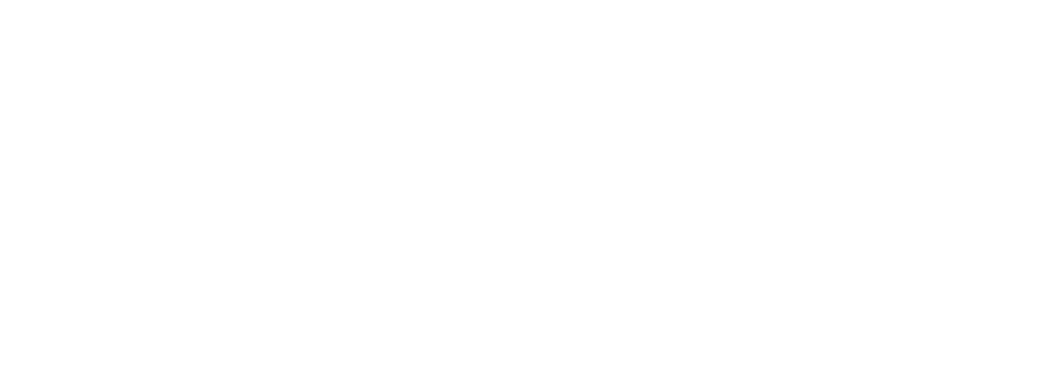 Future of Light Cargo