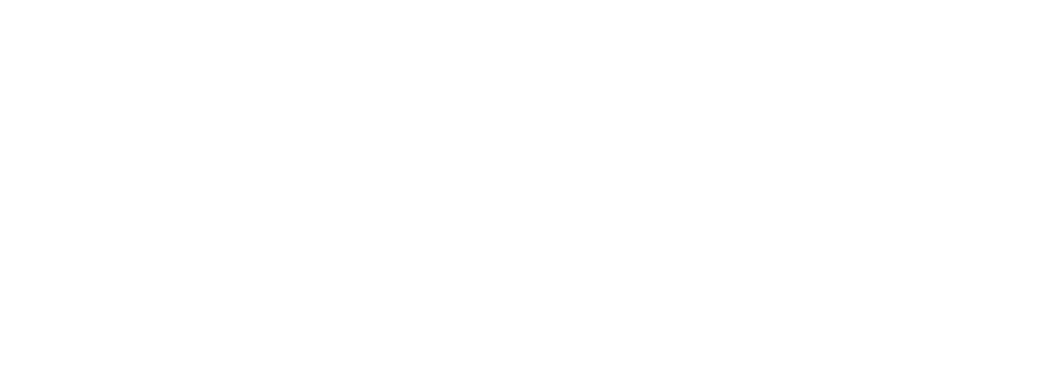 Cargo Delivery