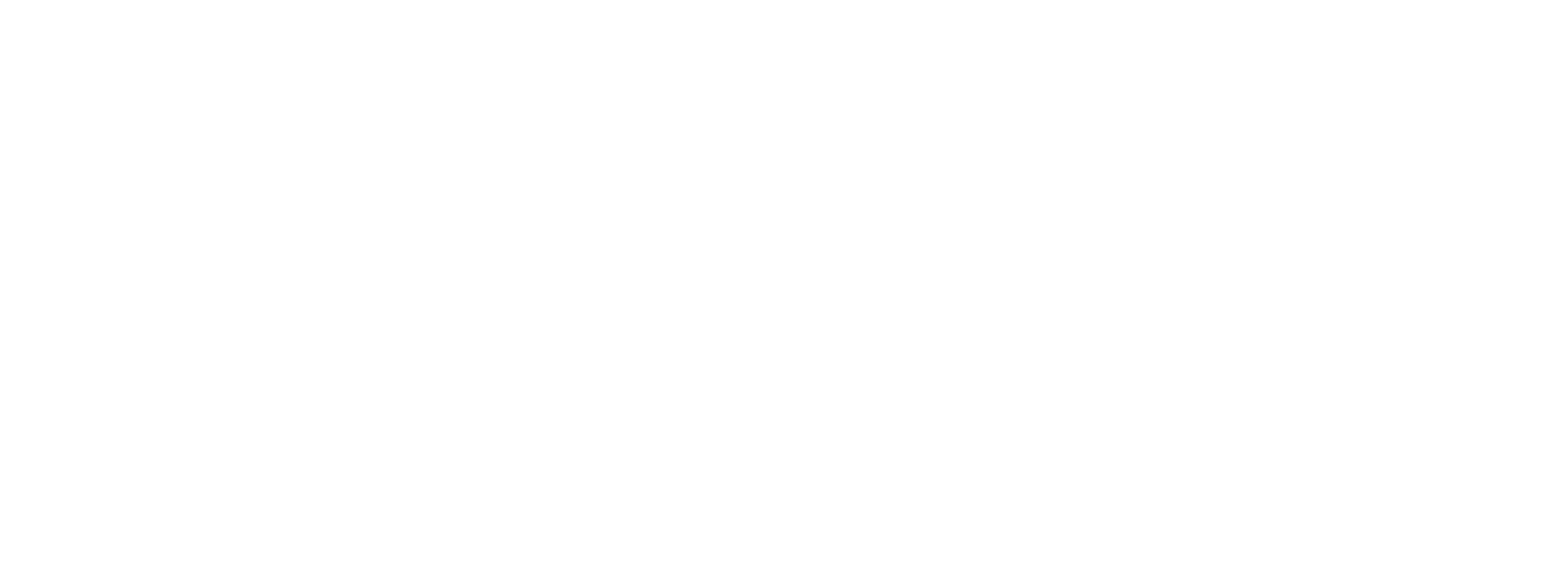 Surveillance and Inspection