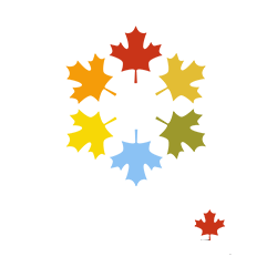 DDNC